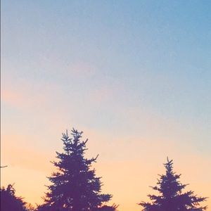 Meet your Posher, Chole