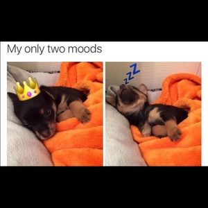 Meet your Posher, Natalia