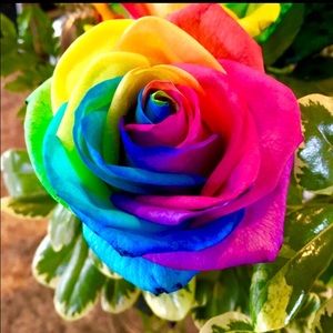 Meet your Posher, Maddie