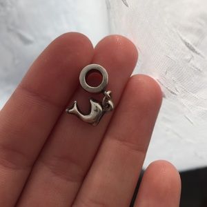 Dolphin charm