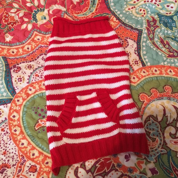 dog sweater