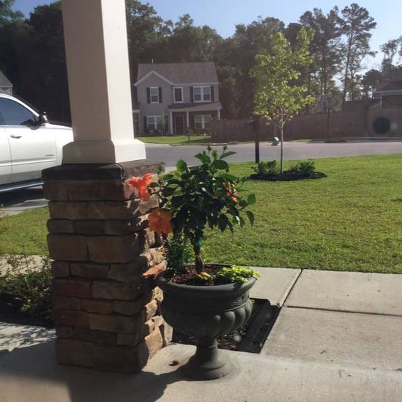 Meet your Posher, Hazel - Picture 1 of 1