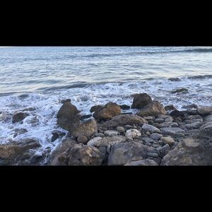 Meet your Posher, Georgina