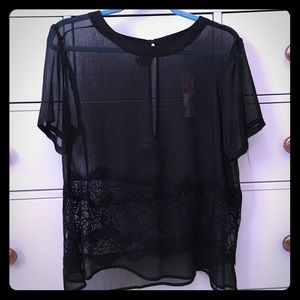Lily White Sheer Black Lace Blouse