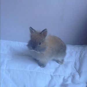 Meet your Posher, Julia