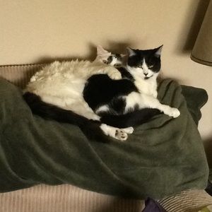 Meet your Posher, Judy