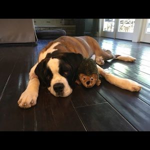 Meet your Posher, Nanette