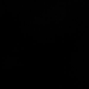 Meet your Posher, Eliza