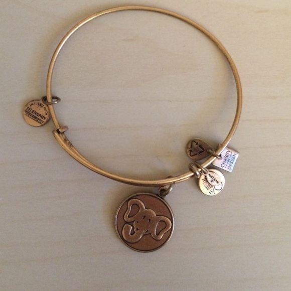 Alex and Ani Jewelry - Alex and Ani Elephant Charm Bangle