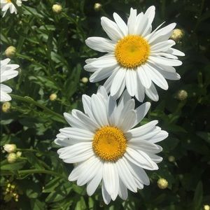 Meet your Posher, Cathy