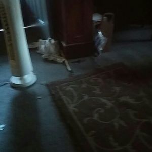 Meet your Posher, Anita