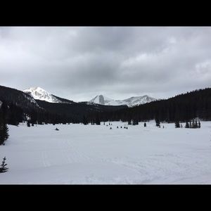 Meet your Posher, Molly