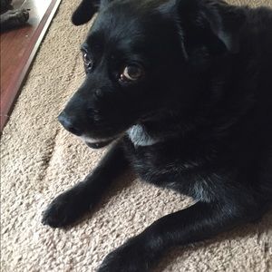 Meet your Posher, Lydia