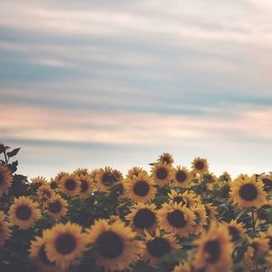 Meet your Posher, Madeline