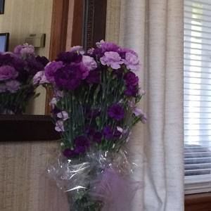 Meet your Posher, Tina