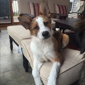 Meet your Posher, Rebecca