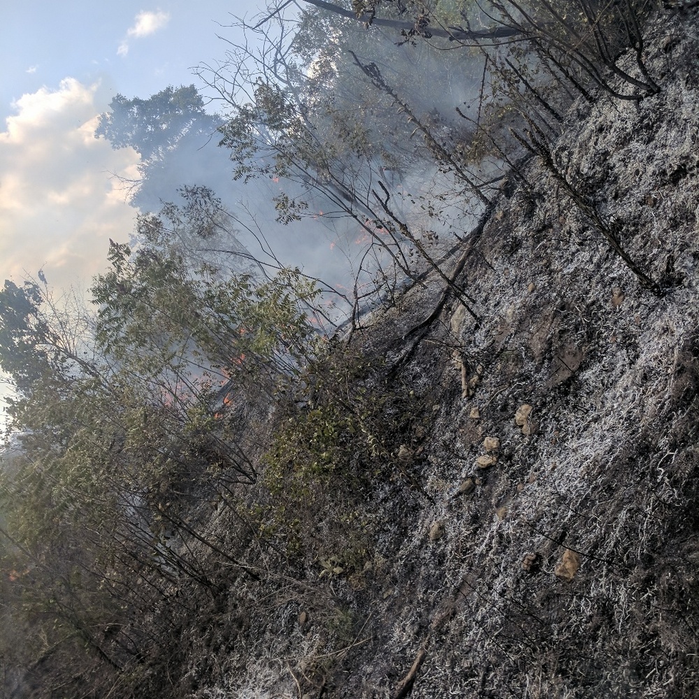 Meet your Posher, Whitney