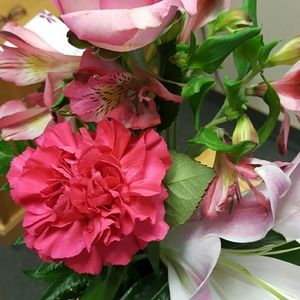 Meet your Posher, April