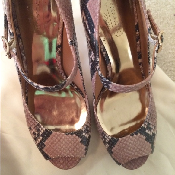 Coach Python Strap Platform Sandals - image 3
