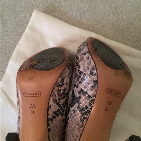 Coach Python Strap Platform Sandals - image 4