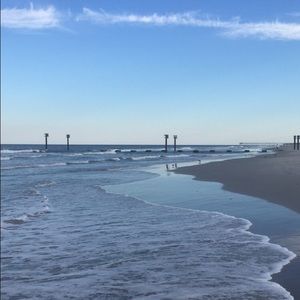 Meet your Posher, Bailey