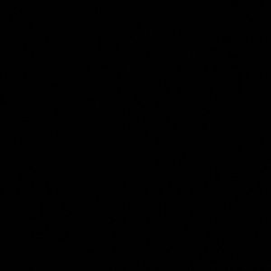 Meet your Posher, Gloria