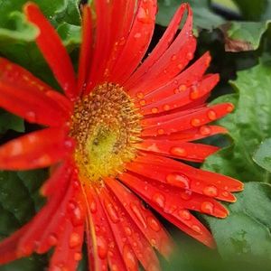 Meet your Posher, Krista