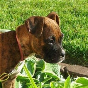 Meet your Posher, Katie