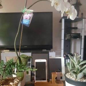 Meet your Posher, Charles