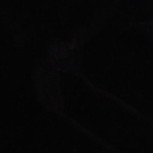 Meet your Posher, Lakisha