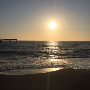 Meet your Posher, Bridgette