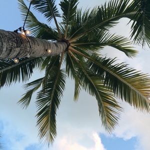 Meet your Posher, Jane