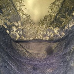 Victoria's Secret Sheer Blue Lingerie Dress