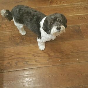 Meet your Posher, Barbara