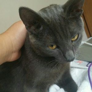 Meet your Posher, Jailene