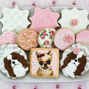 Meet your Posher, Sunny