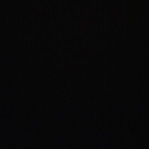 Meet your Posher, Delaney