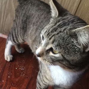 Meet your Posher, Araceli