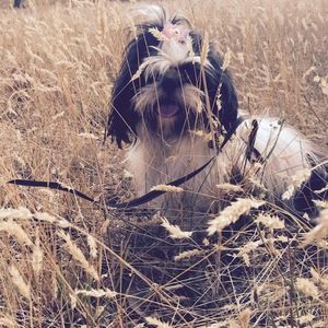 Meet your Posher, Francesca