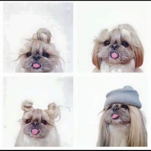 Meet your Posher, Martins