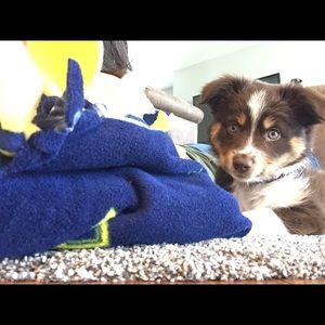 Meet your Posher, Tanya