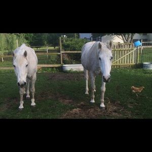 Meet your Posher, Kelly