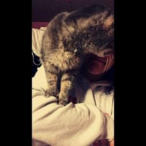 Meet your Posher, Haley