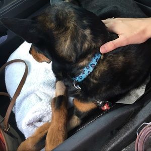 Meet your Posher, Jade