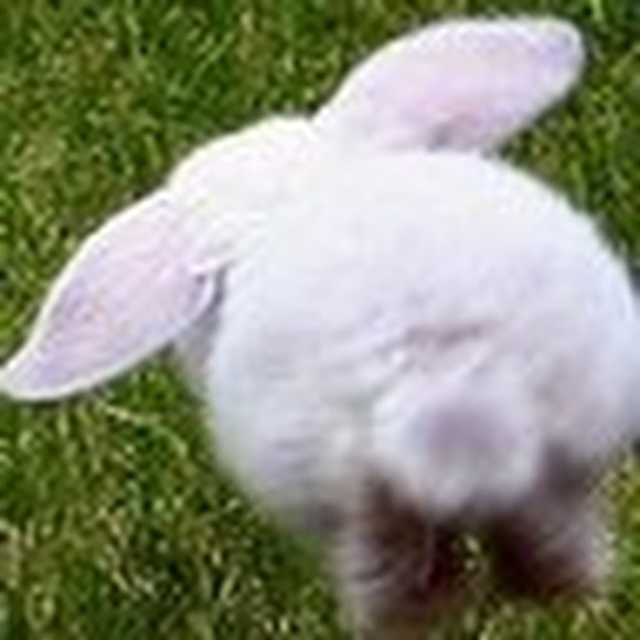 Meet your Posher, Erika - Picture 1 of 1