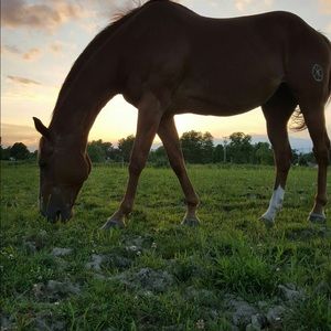 Meet your Posher, Sharon