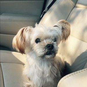 Meet your Posher, Deborah