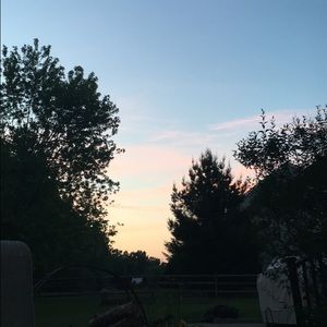 Meet your Posher, Carly