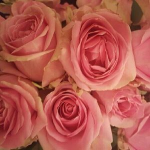 Meet your Posher, Laura