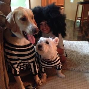 Meet your Posher, Trish